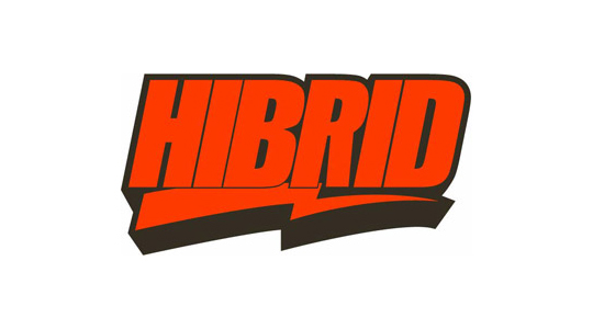 HIBRID skateboards